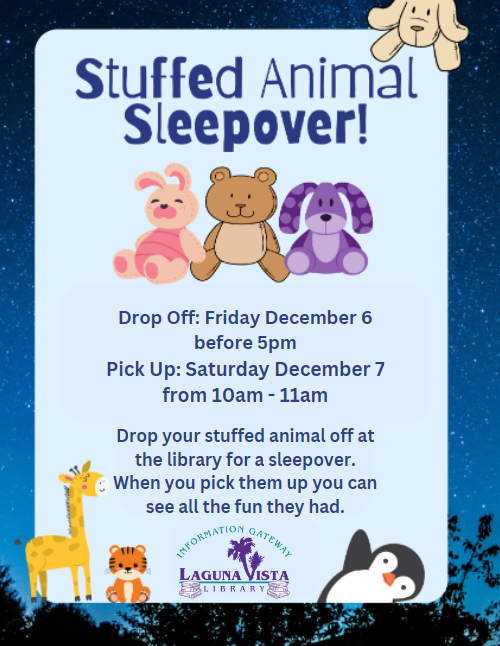 Stuffie Sleepover